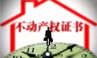 有效房产类型怎么写