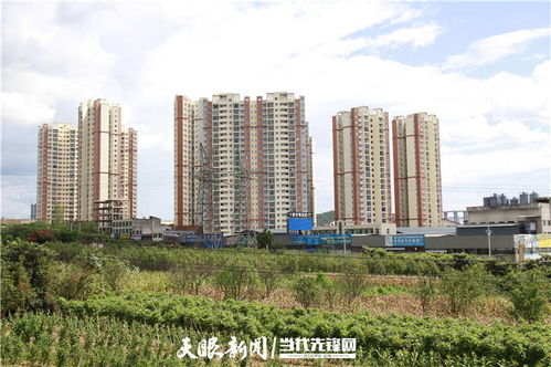 安置楼怎么继承房产