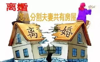 夫妻过错房产怎么继承