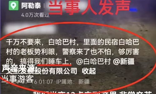 车贷还不了怎么拍卖房产
