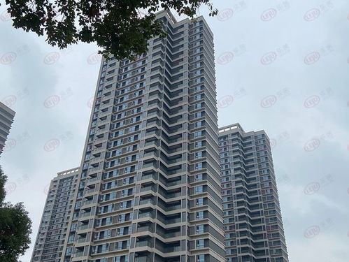 房地产公司怎么查房产