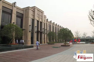 衡水六中房产怎么样