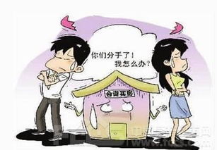 再婚有房产怎么分