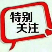 哈尔滨怎么查房产抵押