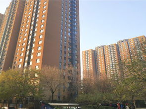 金隅房产怎么样