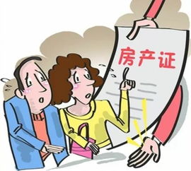 转让房产给亲哥哥怎么写
