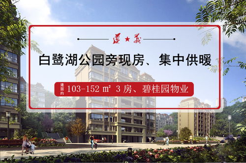遵义房产怎么查询