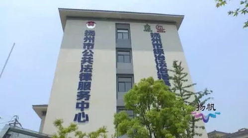老人丧偶后怎么安置房产