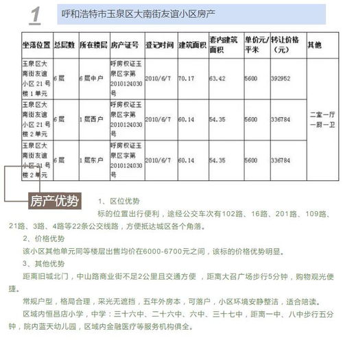 多处房产怎么表述