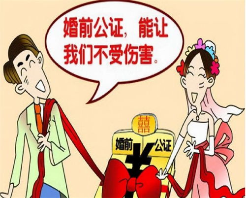 母亲再婚房产怎么分配