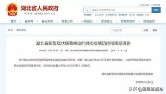 漏报房产怎么处理