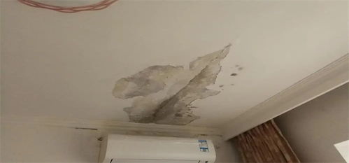 房产渗水怎么处理