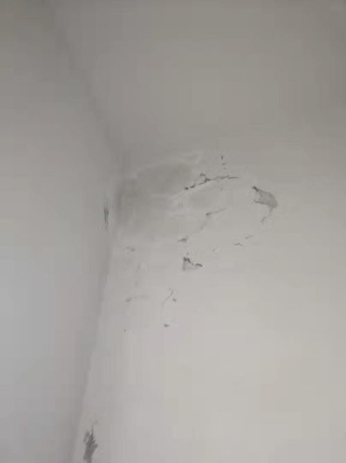 房产渗水怎么处理