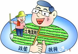农民怎么看房产权