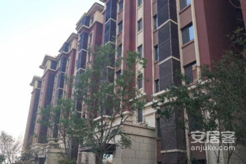 中加房产怎么样