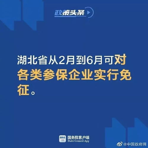 房产税怎么交保险