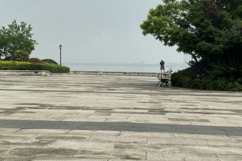 独栋合院房产怎么分