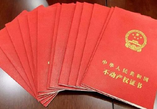 儿媳妇的房产证怎么分割