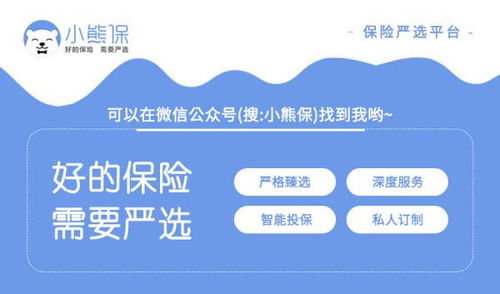 房产保险怎么查不到