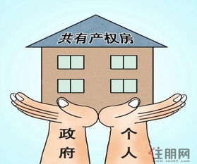 房产共有怎么出售