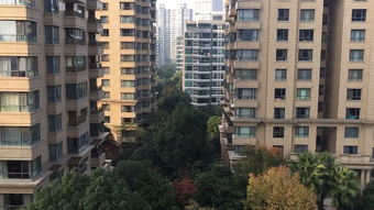 未开盘小区怎么调查房产