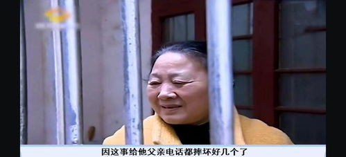 80岁老人分房产怎么分