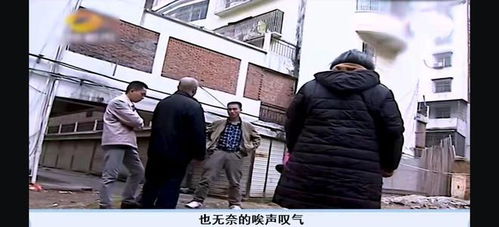 80岁老人分房产怎么分