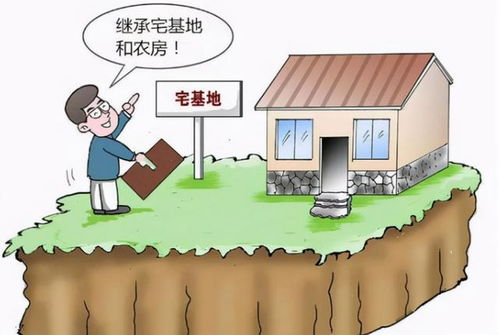 房产脏水怎么处理