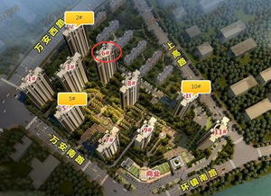 房产怎么排