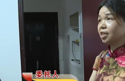 舅舅的房产怎么分配