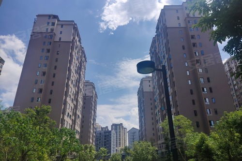 成都和信天骄房产怎么样