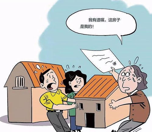 女婿怎么继承房产