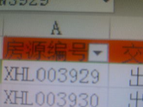 怎么筛选房产