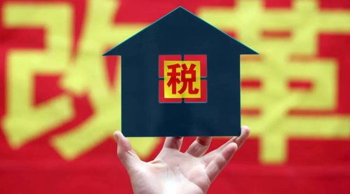 房产怎么设定共有权