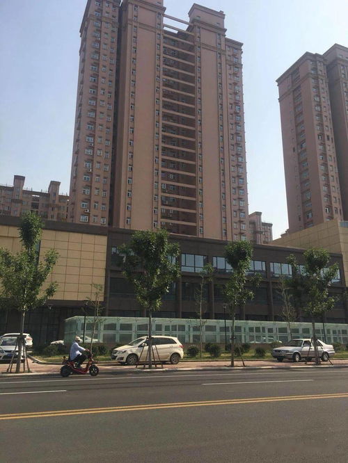 聊城金房子房产怎么样