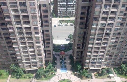 长寿房产怎么这么便宜