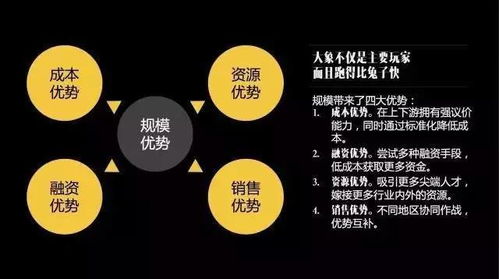 房产企业怎么发展