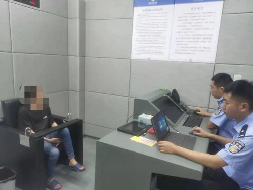房产老板电话怎么查
