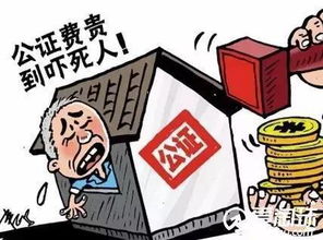 亲属赠与房产怎么合理