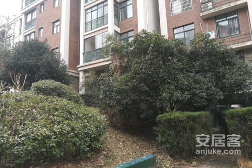 芜湖房产天琴湾怎么样