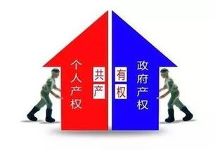 房产是共有产权吗怎么查