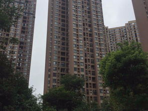 世家房产怎么卖房