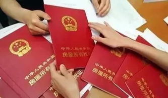 怎么查邢台房产证信息