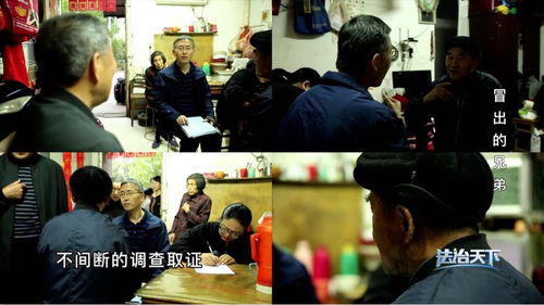 兄弟共一处房产怎么办