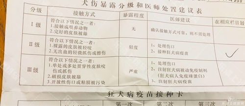 安置房产证被叫停怎么办