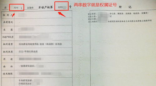 叶县房产编号怎么查