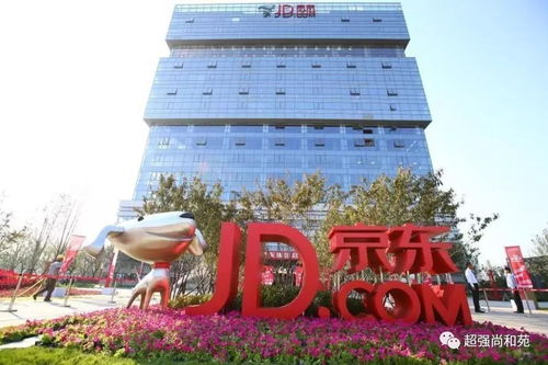 金东房产怎么发布