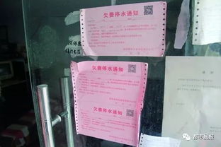 房产证被水冲跑了怎么办