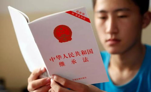 继承人的房产怎么分户
