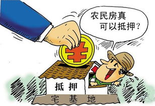 房产抵押官司怎么打的